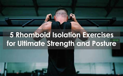 Rhomboid isolation exercises  Located in the upper back, these muscles connect the spine to the shoulder blades and help stabilize the scapula during movement